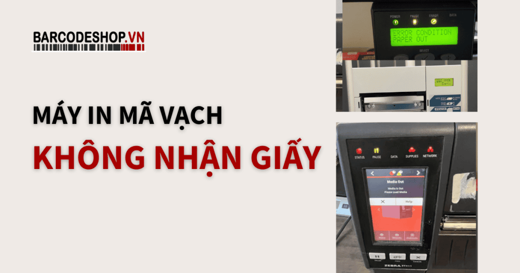 Máy in mã vạch không nhận giấy