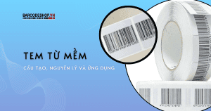 Tem từ mềm